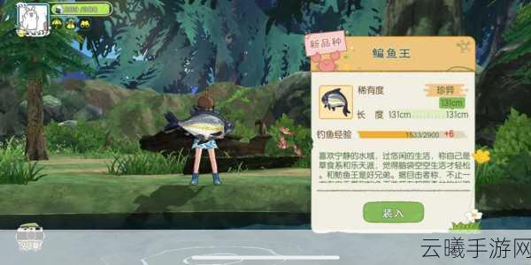 小森生活羊驼王寻觅之旅,解锁彩色羊驼毛的奇幻冒险
