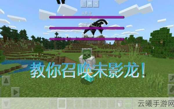我的世界手游，如何输入指令召唤末影龙及更多趣味玩法