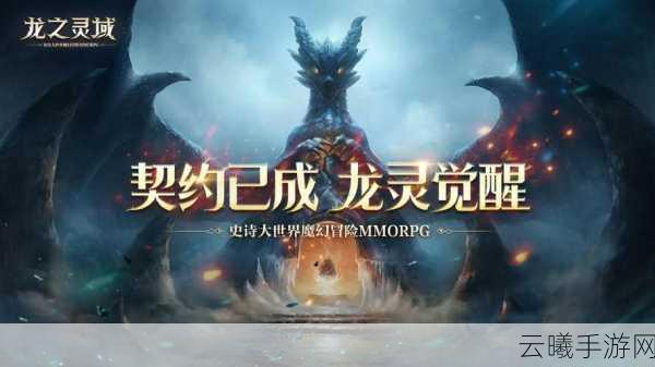 龙之灵域PK玩法全揭秘，热血激战，种族与武器的自由碰撞！