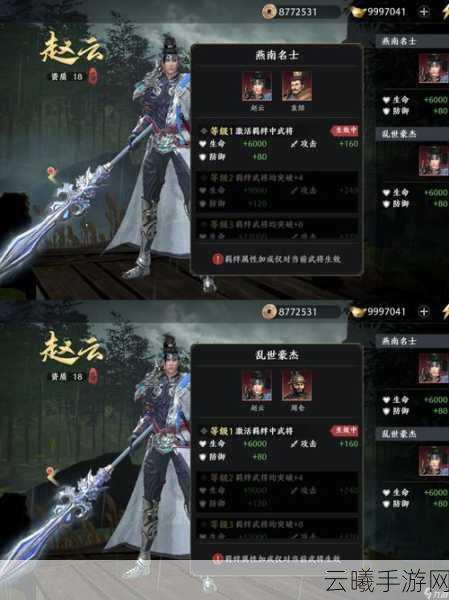 极无双2赵云阵容搭配攻略，最强组合策略，助你横扫千军！
