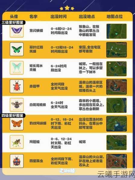 心动小镇昆虫捕捉全攻略，探索自然奥秘，打造专属昆虫乐园！