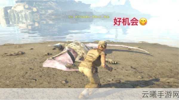 方舟,生存进化手游维京湾贝拉召唤全攻略及趣味玩法揭秘