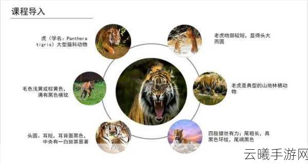 疯狂动物园深度攻略,掌握捕捉老虎、异形虎与花样虎的终极技巧