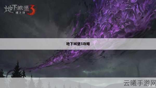 地下城堡3,魂之诗冥界之海通关全攻略,揭秘海域奥秘,策略技巧助你征服深渊!