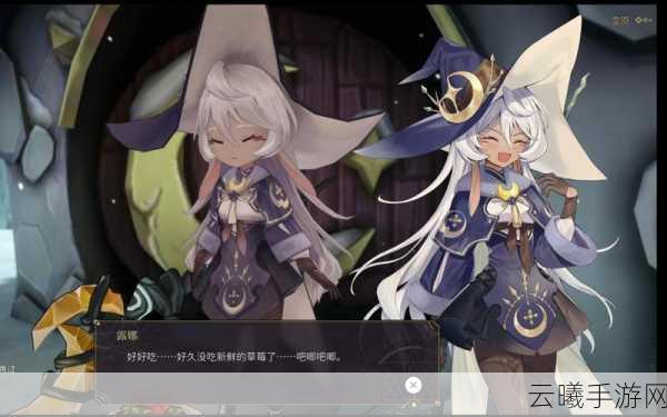 魔女之泉3深度探索指南,生命石合成与获取全攻略,解锁未知魔法之旅