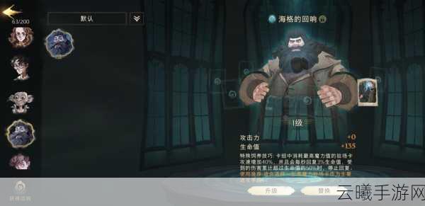 哈利波特,魔法觉醒呼神守卫第二关通关秘籍与趣味玩法揭秘