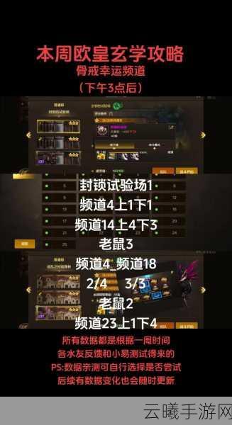 DNF新版本公会副本全攻略,揭秘高效刷本角色,解锁全新挑战与趣味玩法!