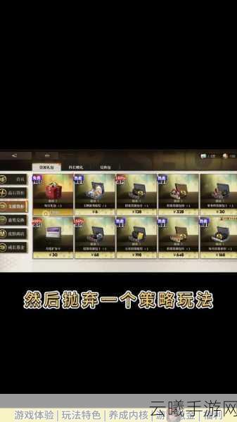 异象回声菜刀队搭配指南及游戏深度玩法探索，问题与故障一站式解决