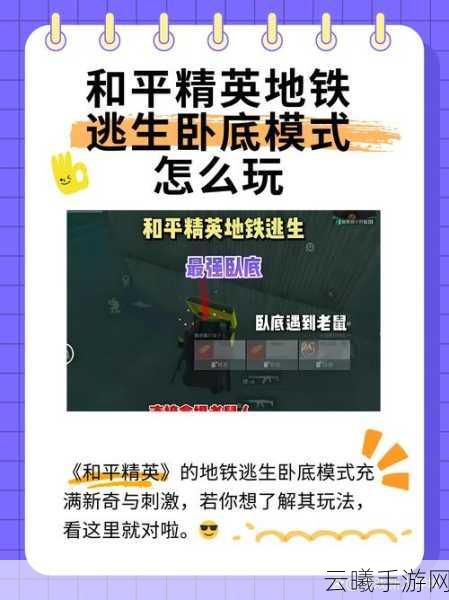 和平精英卧底行动,策略与伪装并重的竞技盛宴