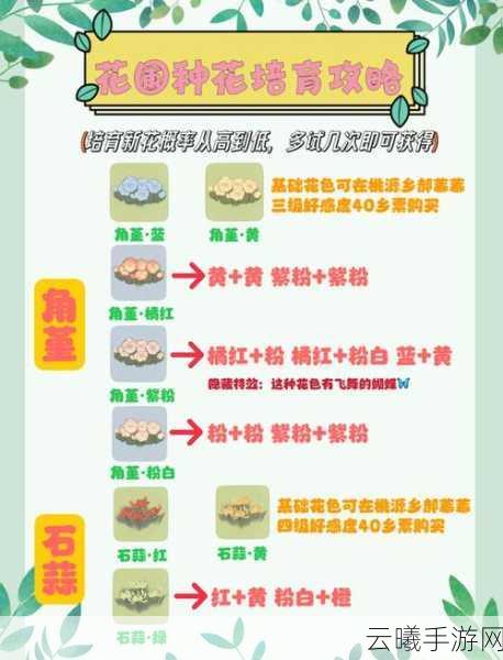 桃源深处有人家,全面揭秘花种配方大全与趣味玩法!