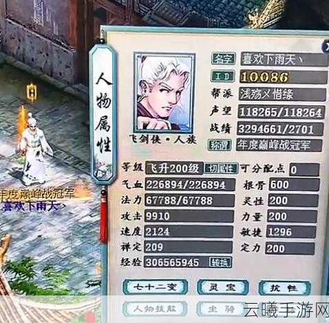 大话西游手游四级藕丝神兵敏属性全攻略,高效资源管理与价值最大化策略揭秘