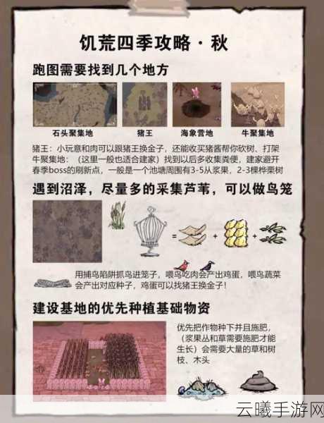 饥荒，哈姆雷特洞穴探险全攻略，揭秘未知世界的奇妙之旅