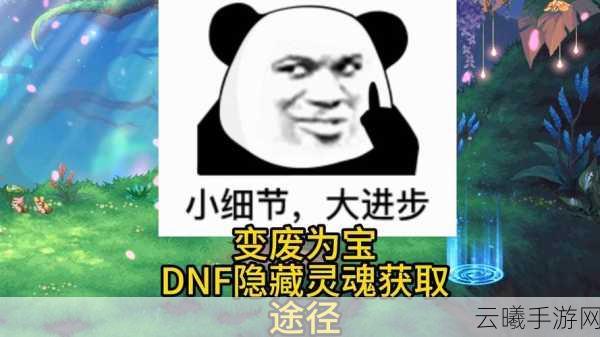 DNF80版淬炼冒险家灵魂全攻略,解锁隐藏玩法与获取秘籍