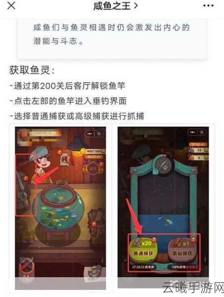 咸鱼之王深度解析，咸鱼之王红蝶鱼灵适合谁？解锁全新趣味玩法！