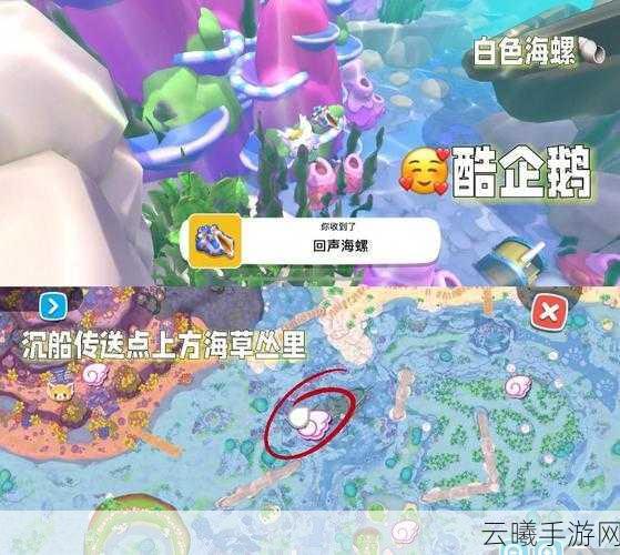 王者荣耀神秘海螺互动玩法全揭秘，探索海洋的奥秘与惊喜