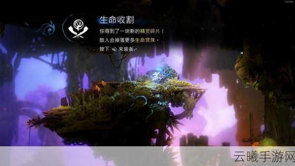 精灵与萤火意志NS版重大补丁发布，崩溃问题终得解，探索奇幻世界新乐趣