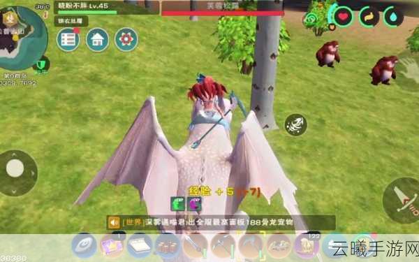 创造与魔法手游资讯,揭秘云鹰饲料制作秘籍及趣味玩法探索
