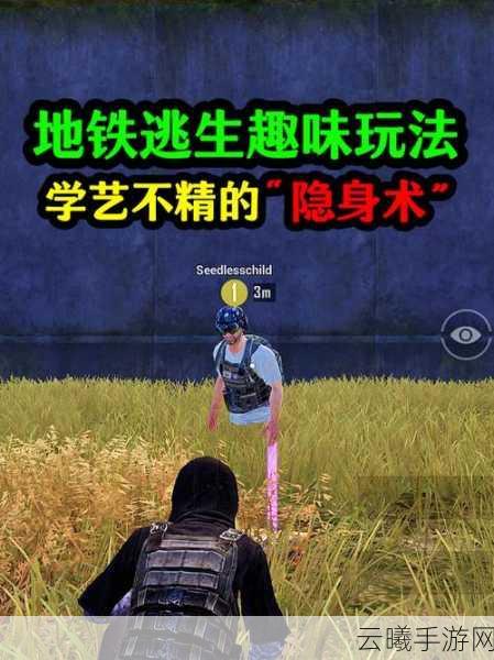 和平精英强制下线机制详解及趣味玩法探索