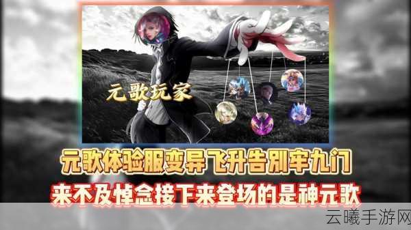 王者荣耀元歌最强连招揭秘，解锁全能刺客的极致魅力！