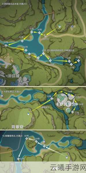 原神月莲采集全攻略,解锁须弥水域的宝藏