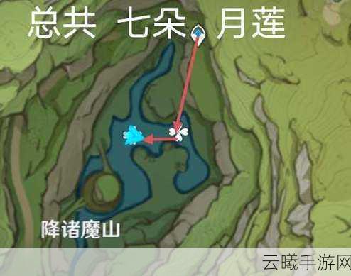 原神月莲采集全攻略,解锁须弥水域的宝藏