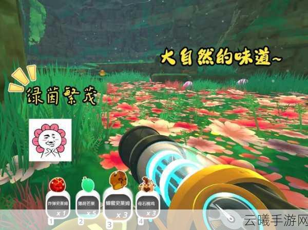 史莱姆牧场2重大更新震撼登场，全新超市系统携海量道具来袭！