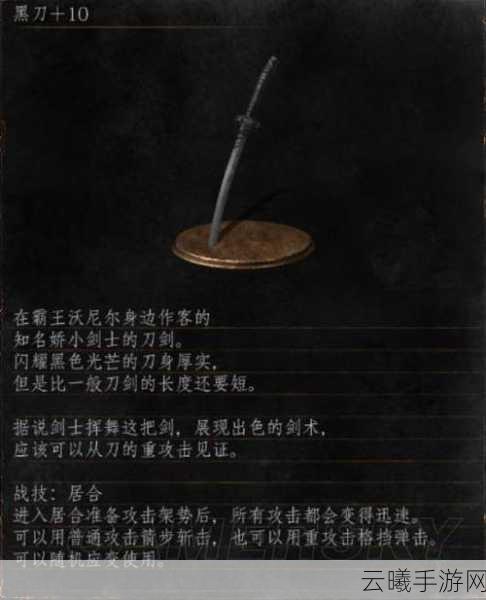 黑暗之魂3手游版,终极武器选择与趣味玩法揭秘