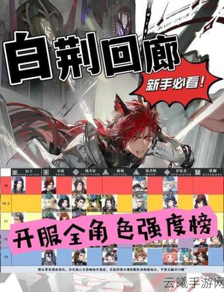 白荆回廊瞳强度全面解析，深度挖掘技能奥秘与实战风采