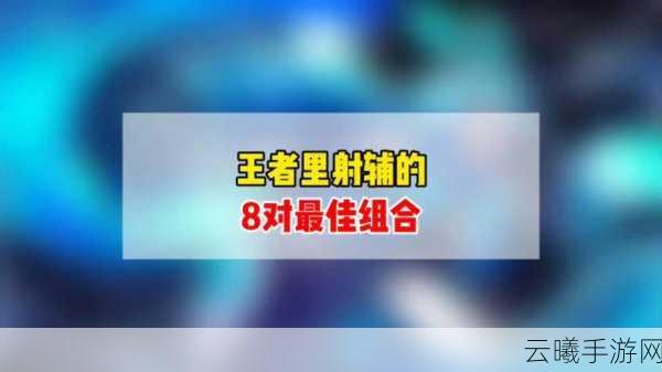 王者荣耀双排上分秘籍,射辅组合大盘点及趣味玩法