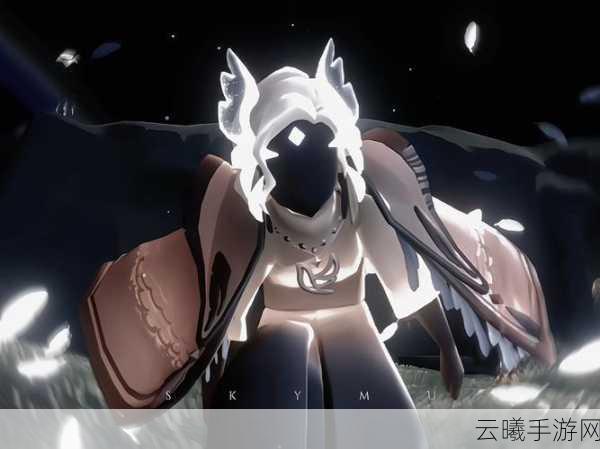 光遇玩家热议,先换白斗篷还是黑斗篷?探索光之旅程的时尚抉择