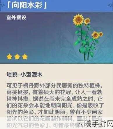 原神尘歌壶1到10级养成全攻略,探索与创造的奇妙之旅