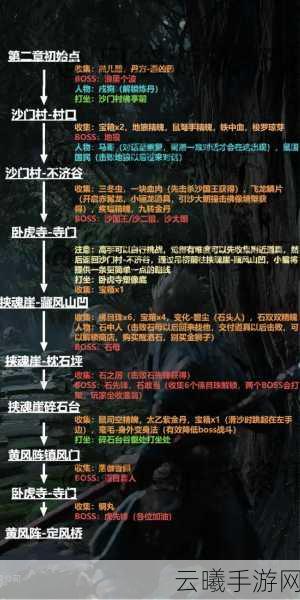黑神话悟空详尽攻略,揭秘金岚获取秘籍,网友热议高效技巧与心得大放送