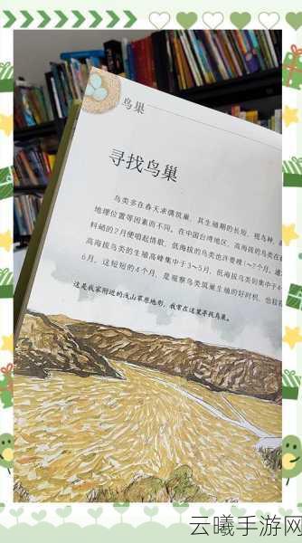 孤独的鸟儿最新版本下载,探索文字剧情的治愈之旅,交互式体验等你开启!