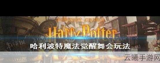 哈利波特魔法觉醒学院杯刷新机制与趣味玩法全揭秘