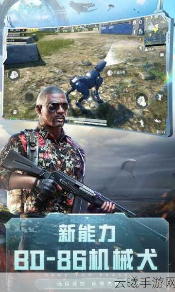 和平精英低配版手机版震撼发布，流畅战斗，畅享吃鸡乐趣！