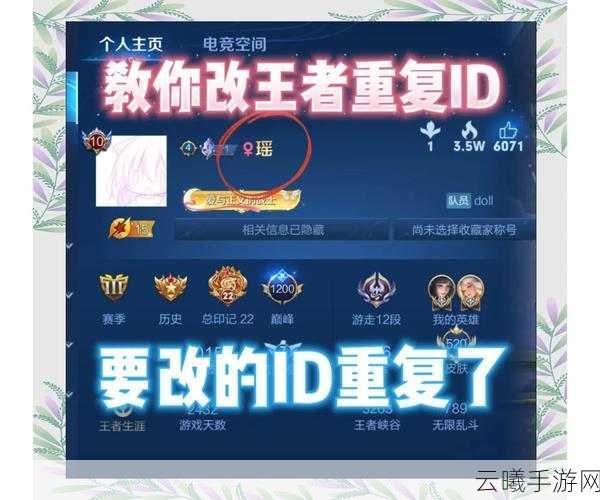 王者荣耀改名功能异常,探索更多趣味玩法等你挑战!