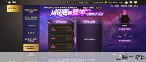DNF手游版发布后，玩家体验全面优化指南及趣味玩法揭秘