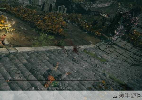 艾尔登法环手游版短矛属性详解及趣味玩法揭秘