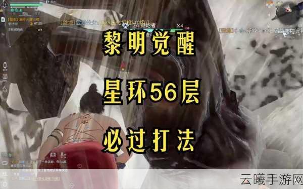 黎明觉醒星环大厦通关全攻略,自下而上征服,揭秘BOSS战与团队协作的艺术