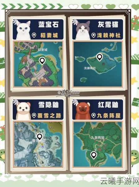原神高级动物捕捉攻略，探索提瓦特大陆的奇妙生态与趣味玩法