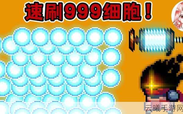 元气骑士枭首者获取方法详解,解锁强力联动角色的全面攻略
