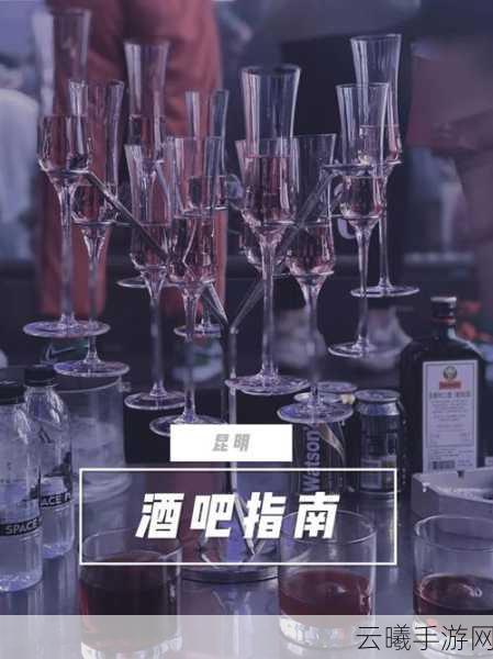 追寻乌鸦之翼,GTA5手游版酒吧深度探索指南