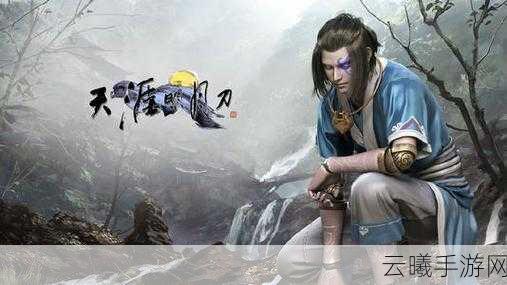 天涯明月刀手游大盘鸡作用详解及趣味玩法探索