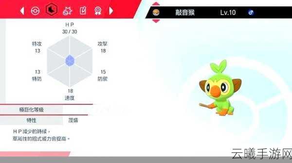 宝可梦剑盾冠之雪原传奇,全面解锁宝可梦捕捉秘籍与趣味玩法