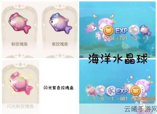 捕鱼来了海洋之心获取攻略及趣味玩法揭秘