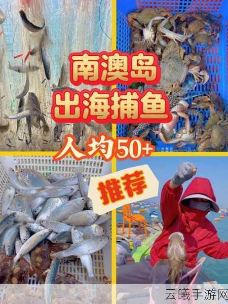 捕鱼来了海洋之心获取攻略及趣味玩法揭秘