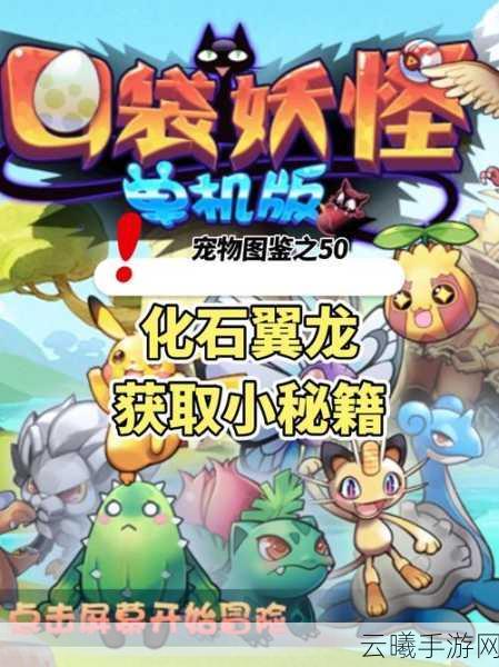 口袋妖怪单机版寻找美库西露商人全攻略，解锁稀有宠物，开启冒险新篇章