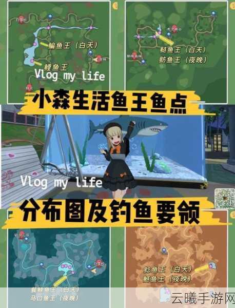 小森生活鲤鱼王饲料获取全攻略及趣味玩法揭秘