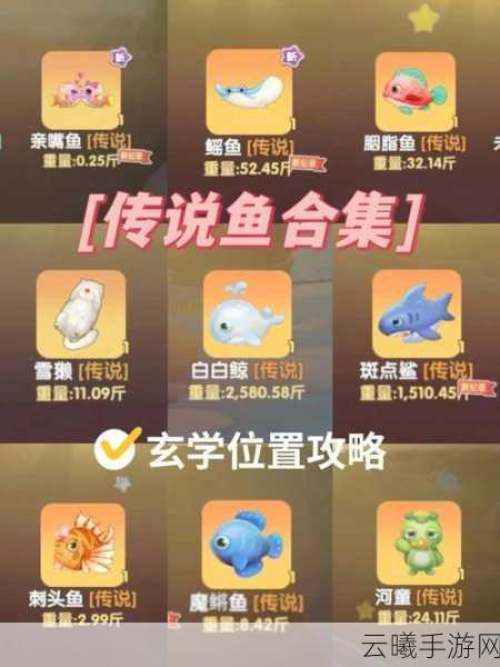 摩尔庄园攻略大揭秘,升级鱼竿秘籍与趣味玩法全览