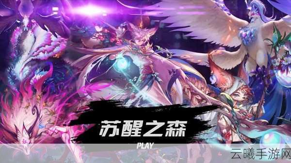 DNF多纳特，探索神秘的游戏世界新篇章，开启无限冒险之旅